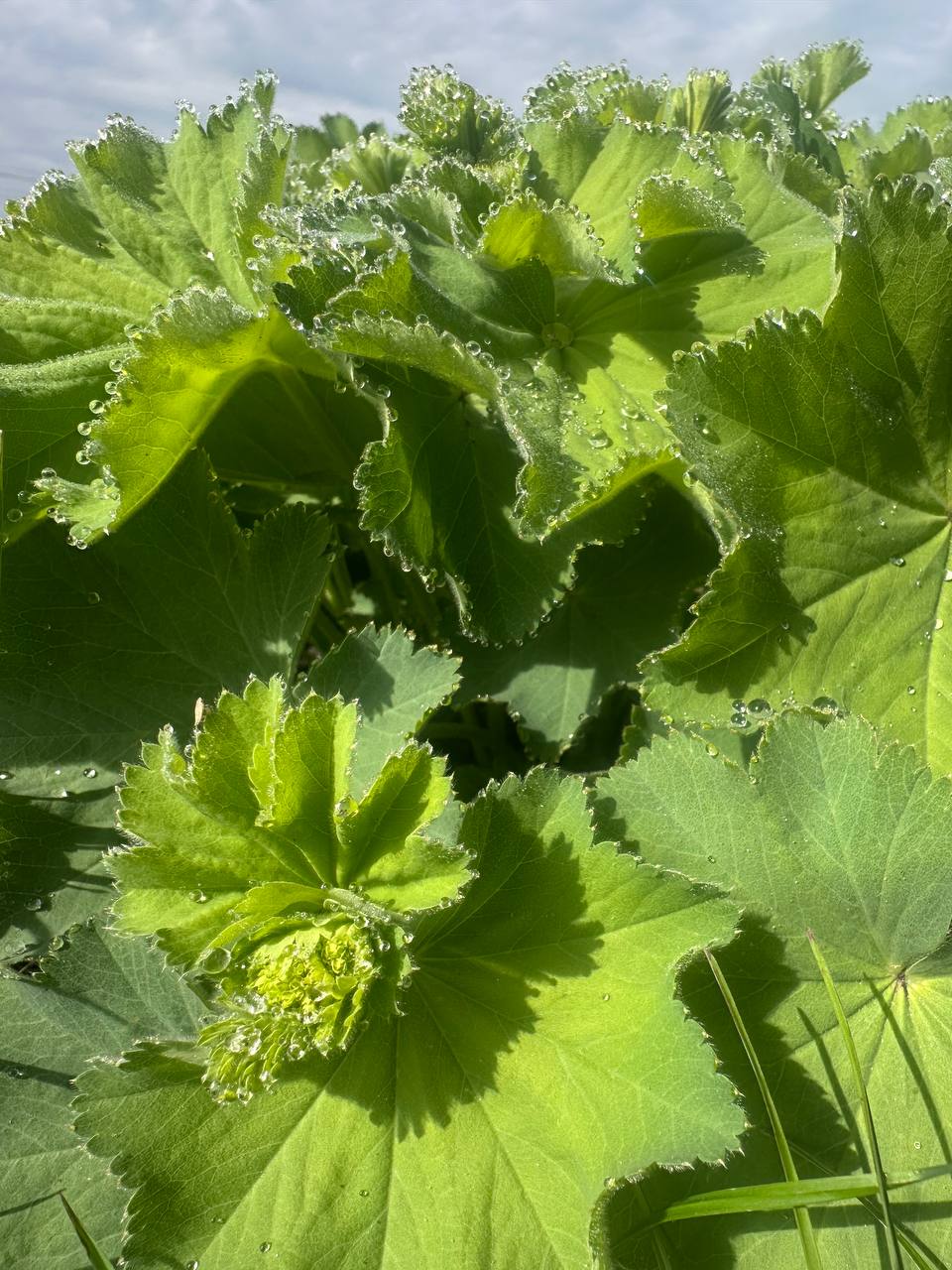 Манжетка м'яка 2