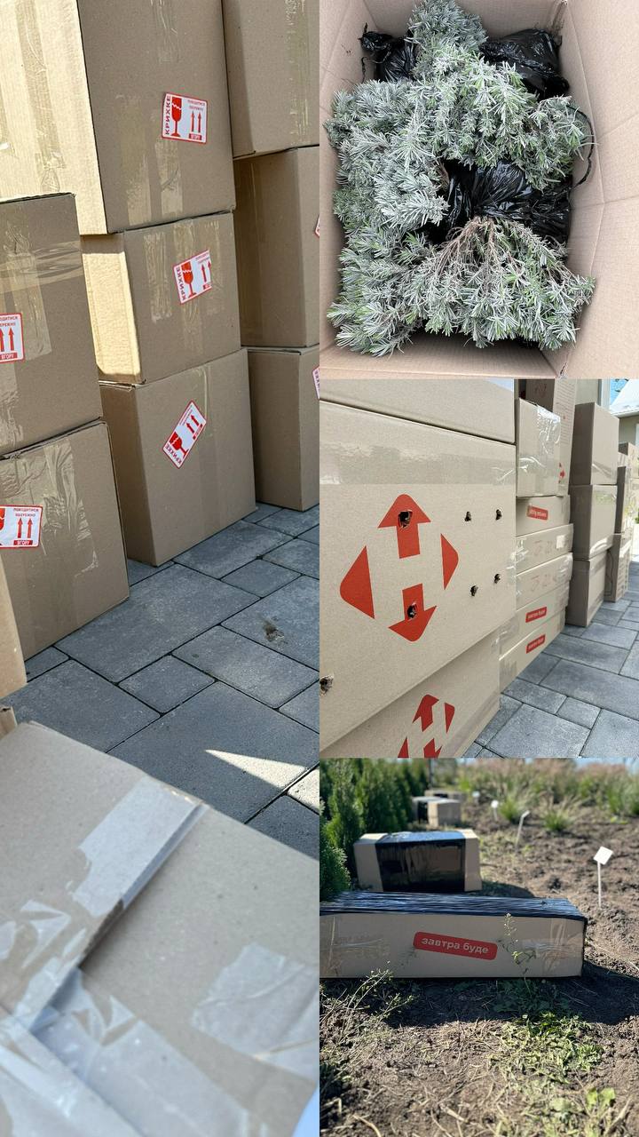 Запакована коробка